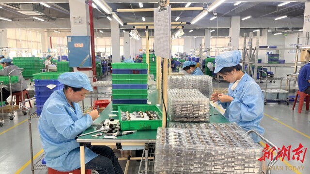业用小小化妆刷“破圈” 湖南日报不朽情缘mg从沿海到内陆炎陵一企(图4)