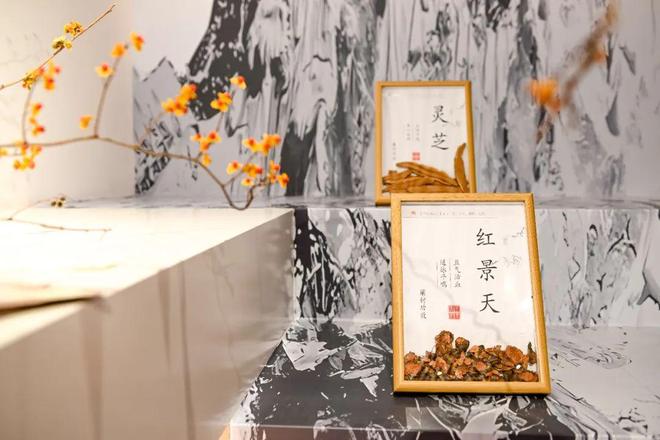 的末尾要像鞠婧祎一样好事不断不朽情缘本周时髦大事｜在四月(图1)